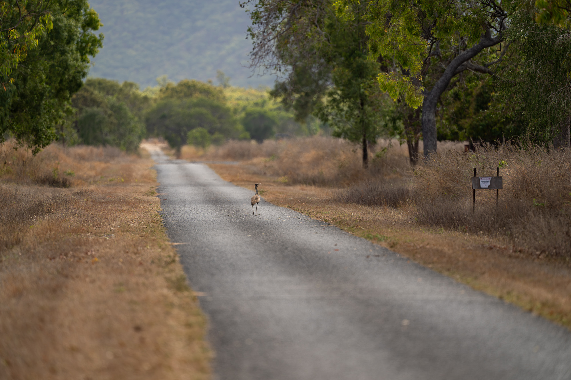 The Long Road Ahead